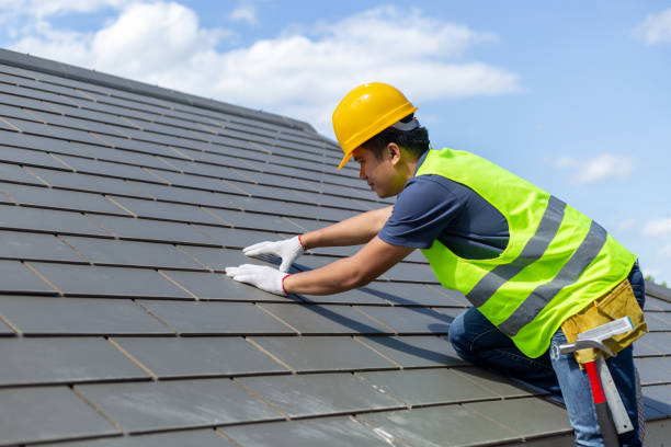 Best Roof Moss and Algae Removal  in Brushy, OK
