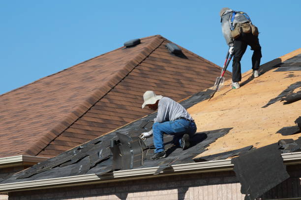 Best Roof Insulation Installation  in Brushy, OK